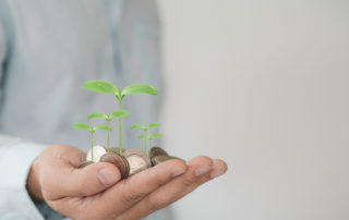 The Wealth Management Industry